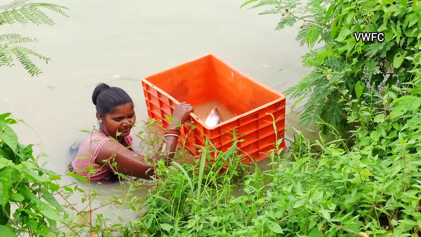 Amazing village women fishing using big net  মৌনি