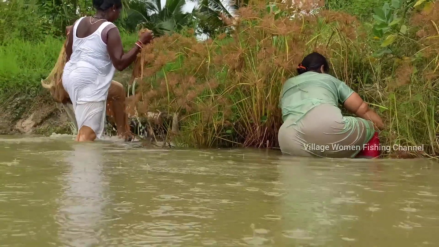 Amazing Village women Fishing video    Mouni fishi