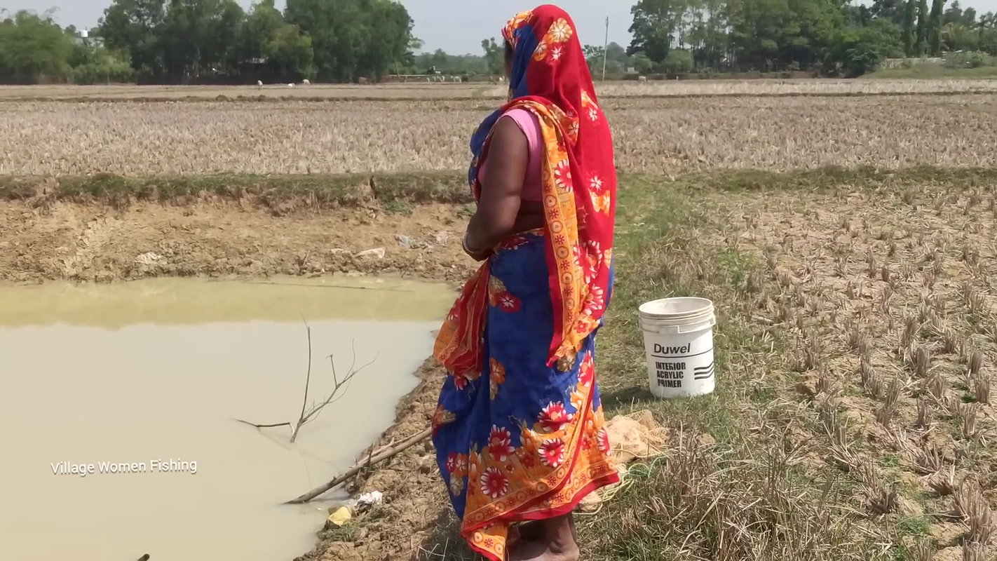Amazing Village women Fishing with bare hand   Mou