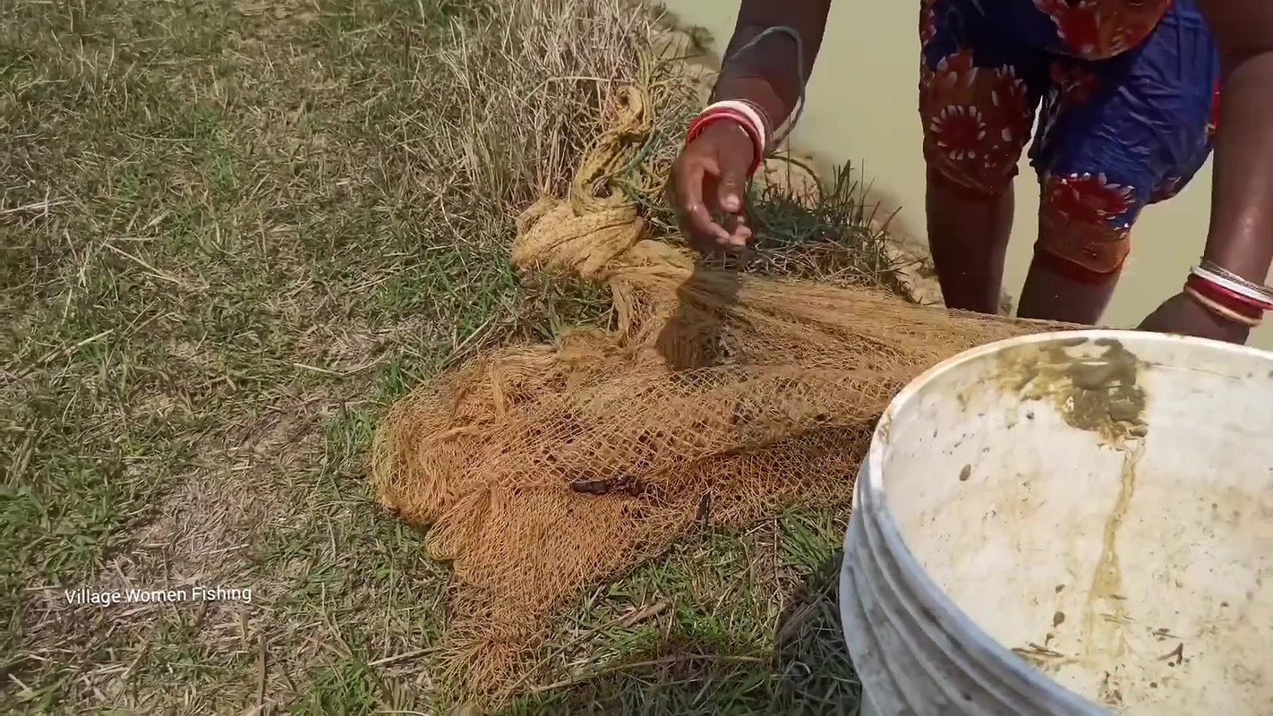 Amazing Village women Fishing with bare hand   Mou