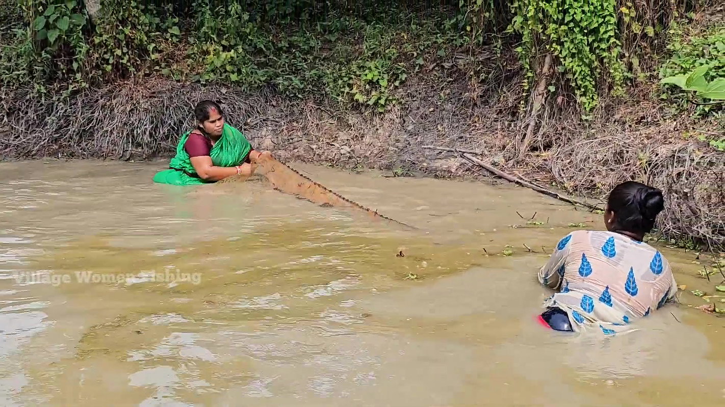 Amazing Village Women Fishing with bare Hand    Mo