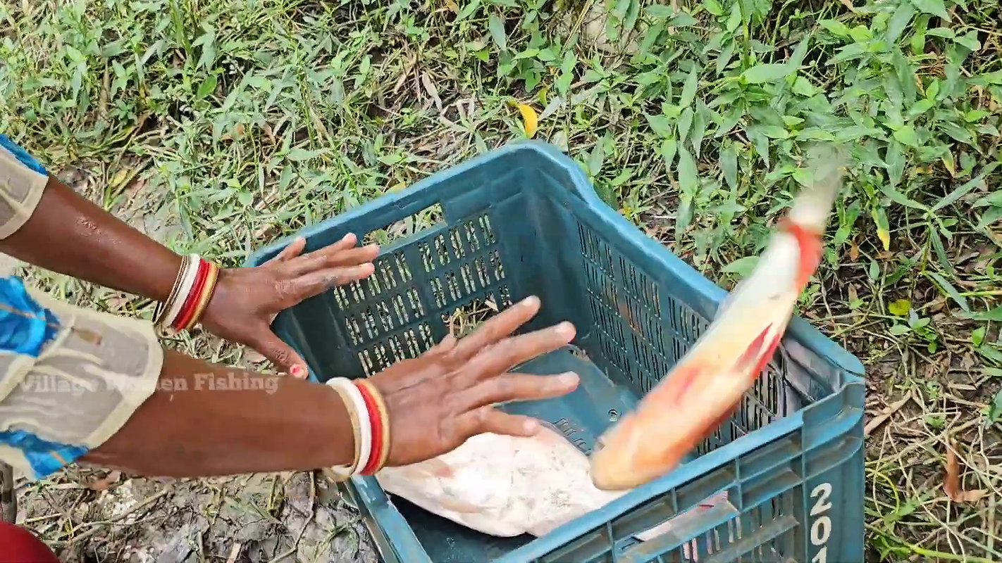 Amazing Village Women Fishing with bare Hand    Mo