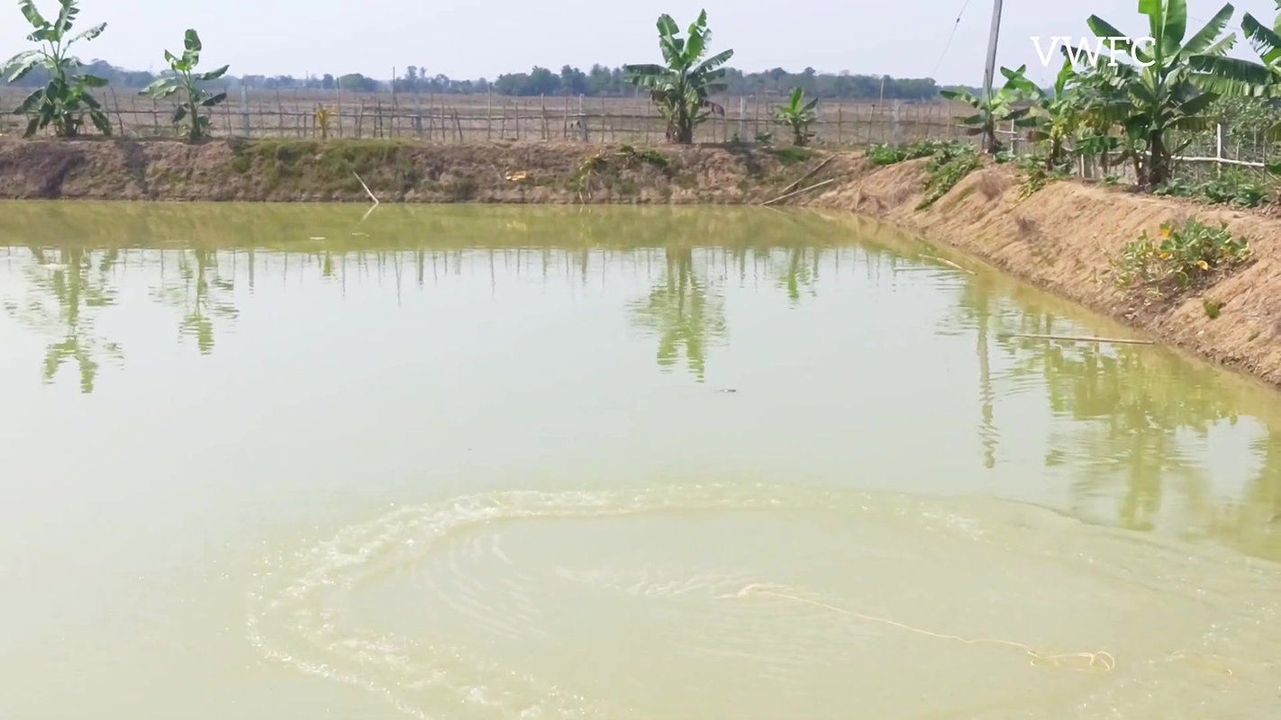 Amazing Village Women Fishing    Carp Fishing