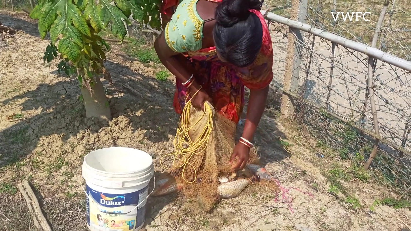 Amazing Village Women Fishing    Carp Fishing