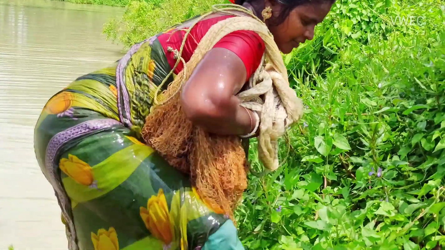 Amazing Village women Fishing    Incredible Fishin