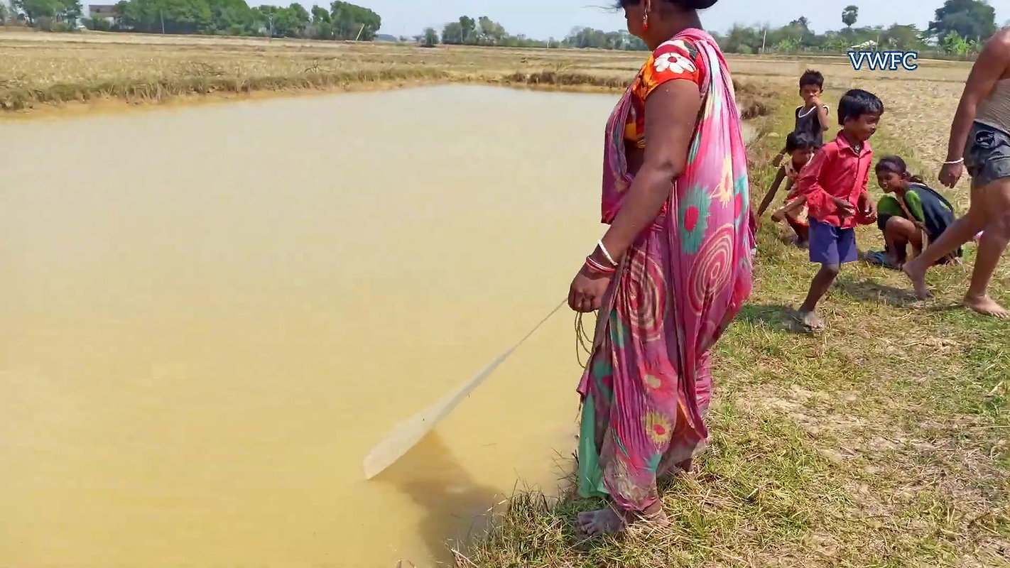 Amazing Village women Fishing    Traditional Net F