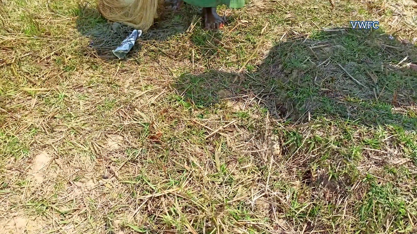 Amazing Village women Fishing    Traditional Net F