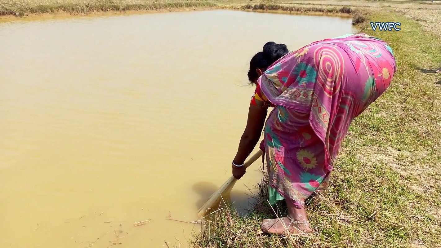 Amazing Village women Fishing    Traditional Net F