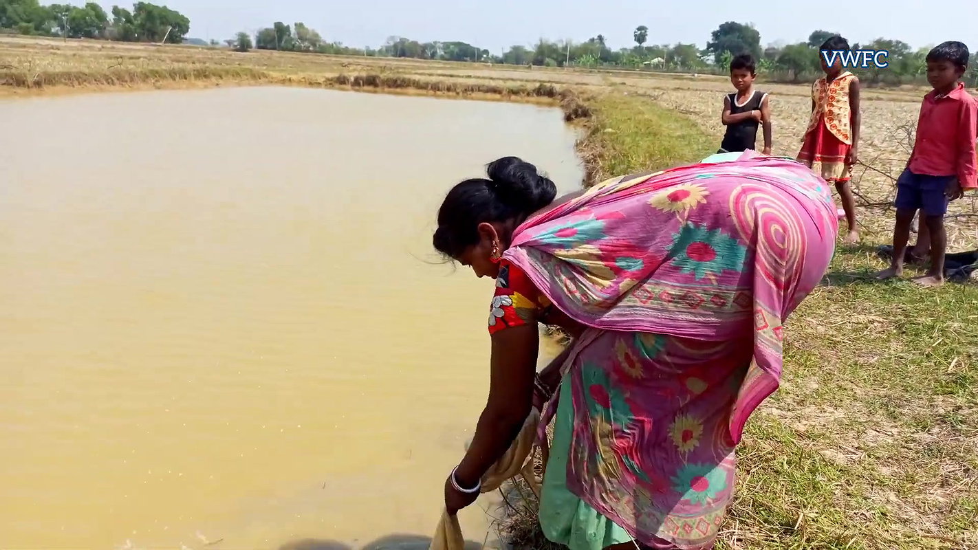 Amazing Village women Fishing    Traditional Net F