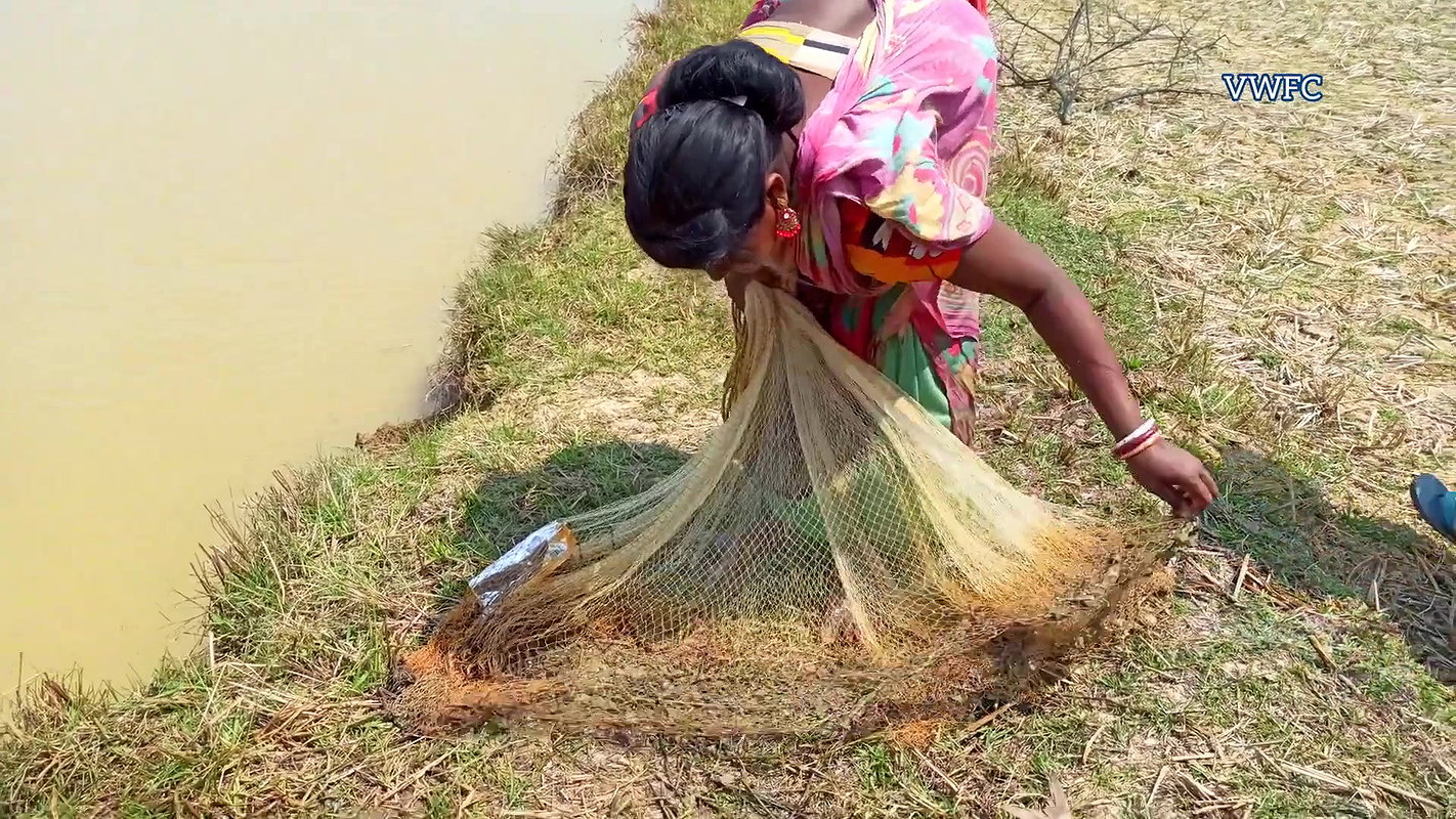 Amazing Village women Fishing    Traditional Net F