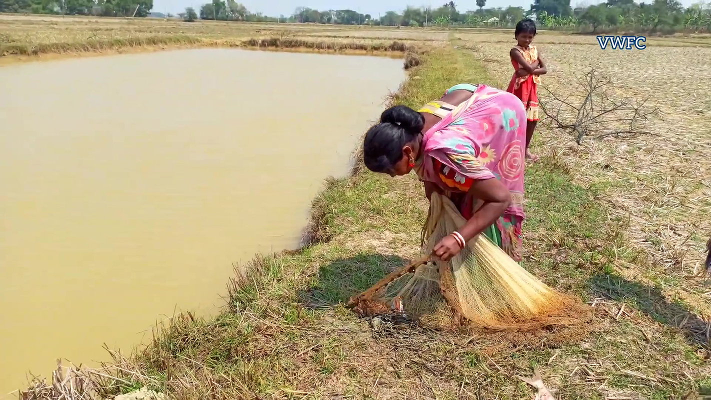 Amazing Village women Fishing    Traditional Net F