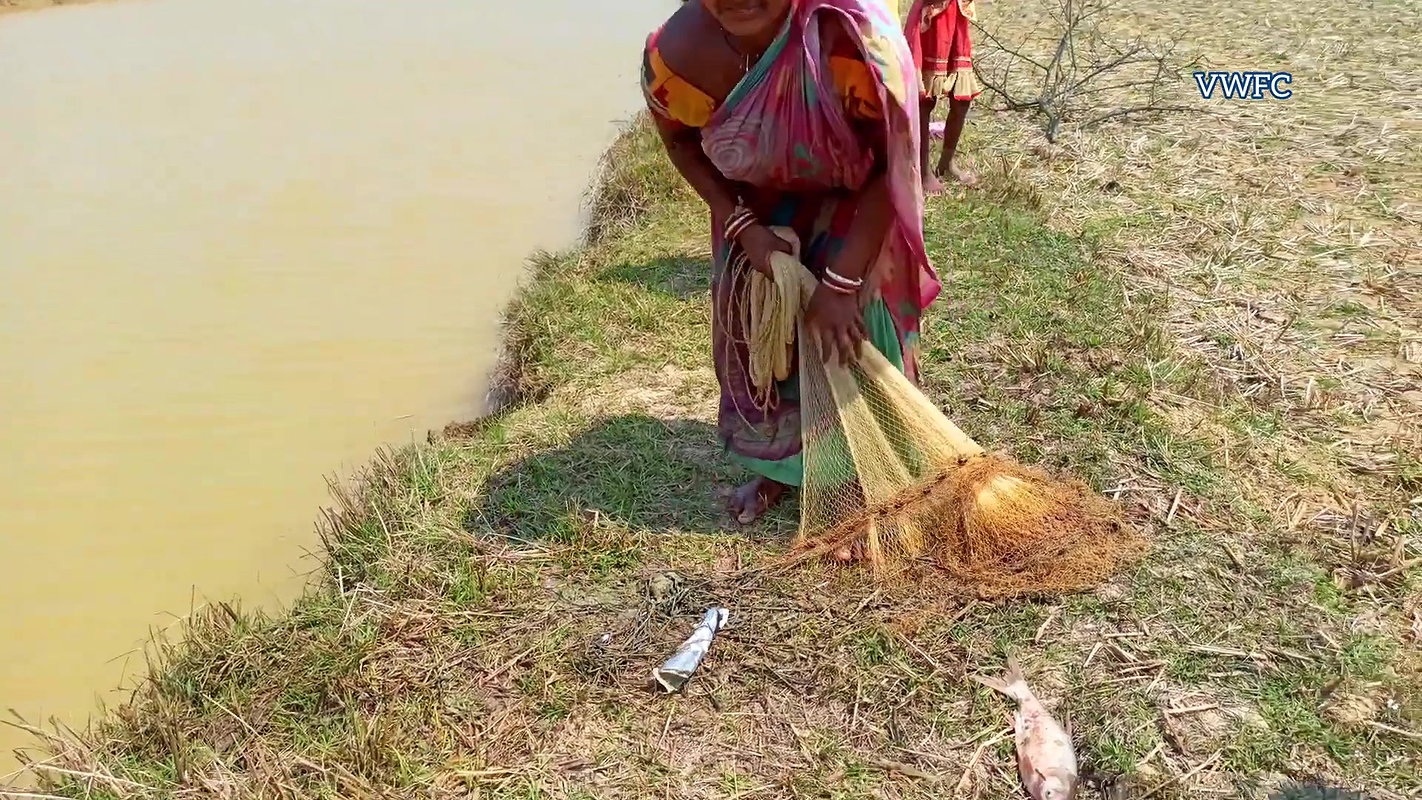 Amazing Village women Fishing    Traditional Net F