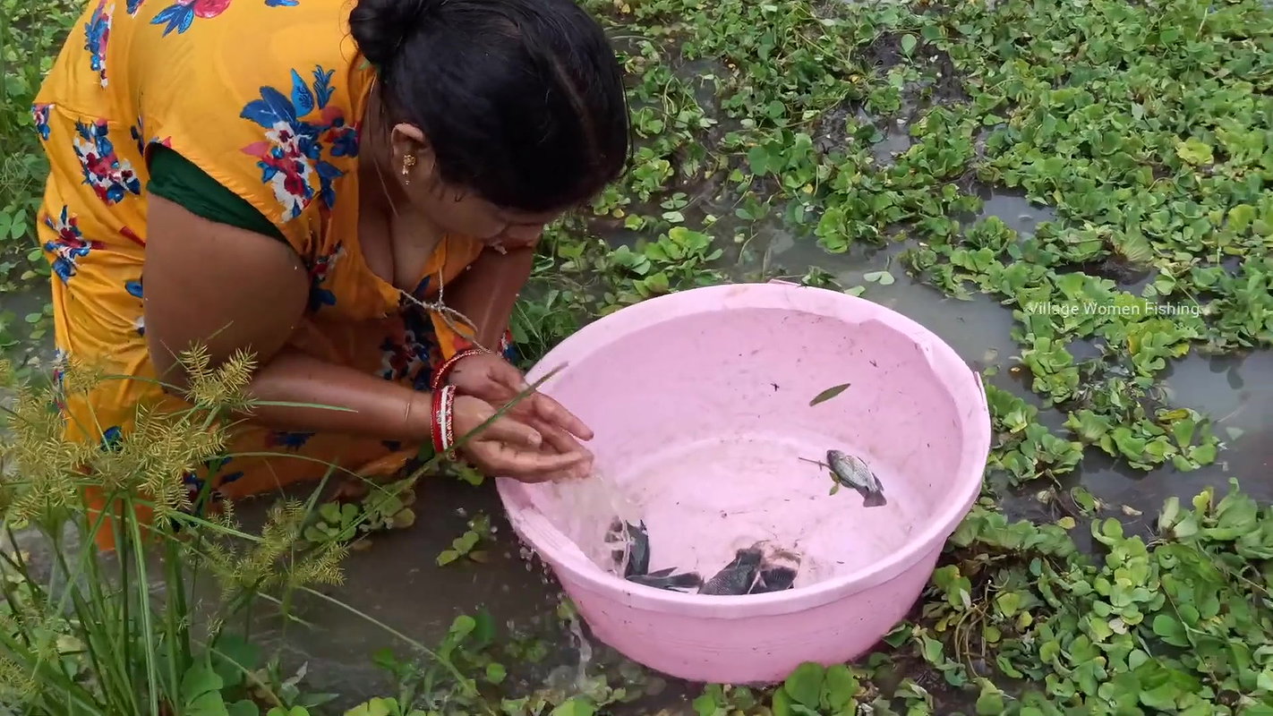 Amazing village women fishing    Women fishing Til