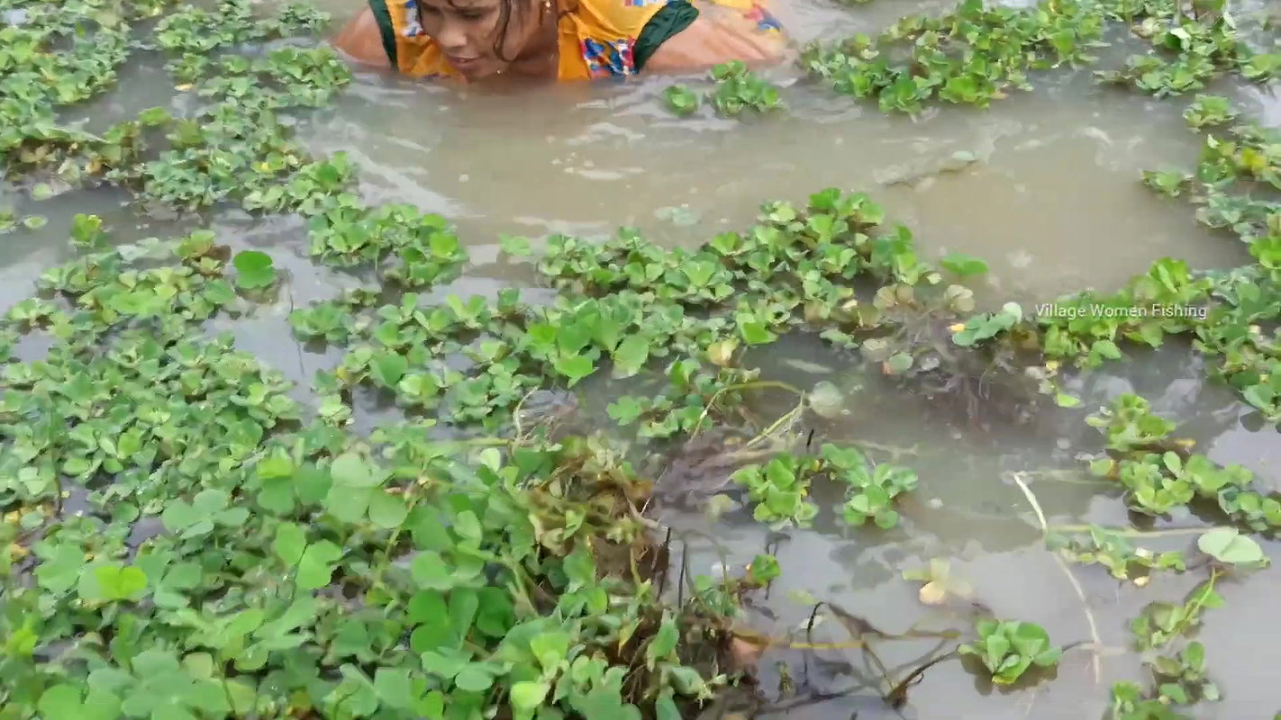 Amazing village women fishing    Women fishing Til
