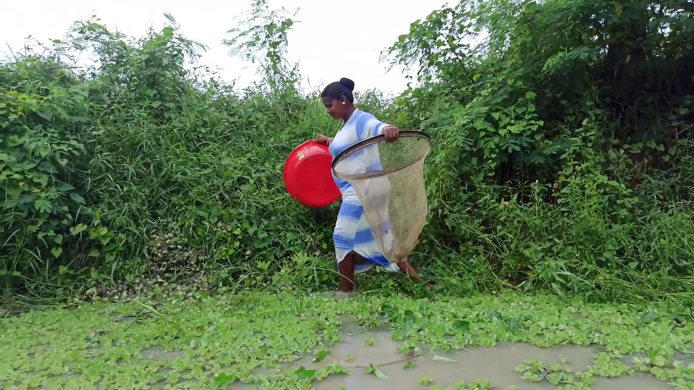 Amazing Village Women Hand Fishing in Village Pond