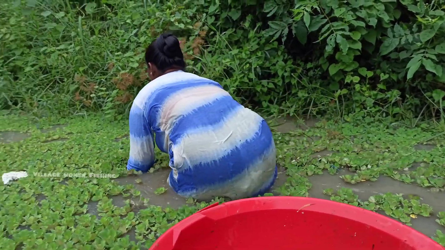 Amazing Village Women Hand Fishing in Village Pond