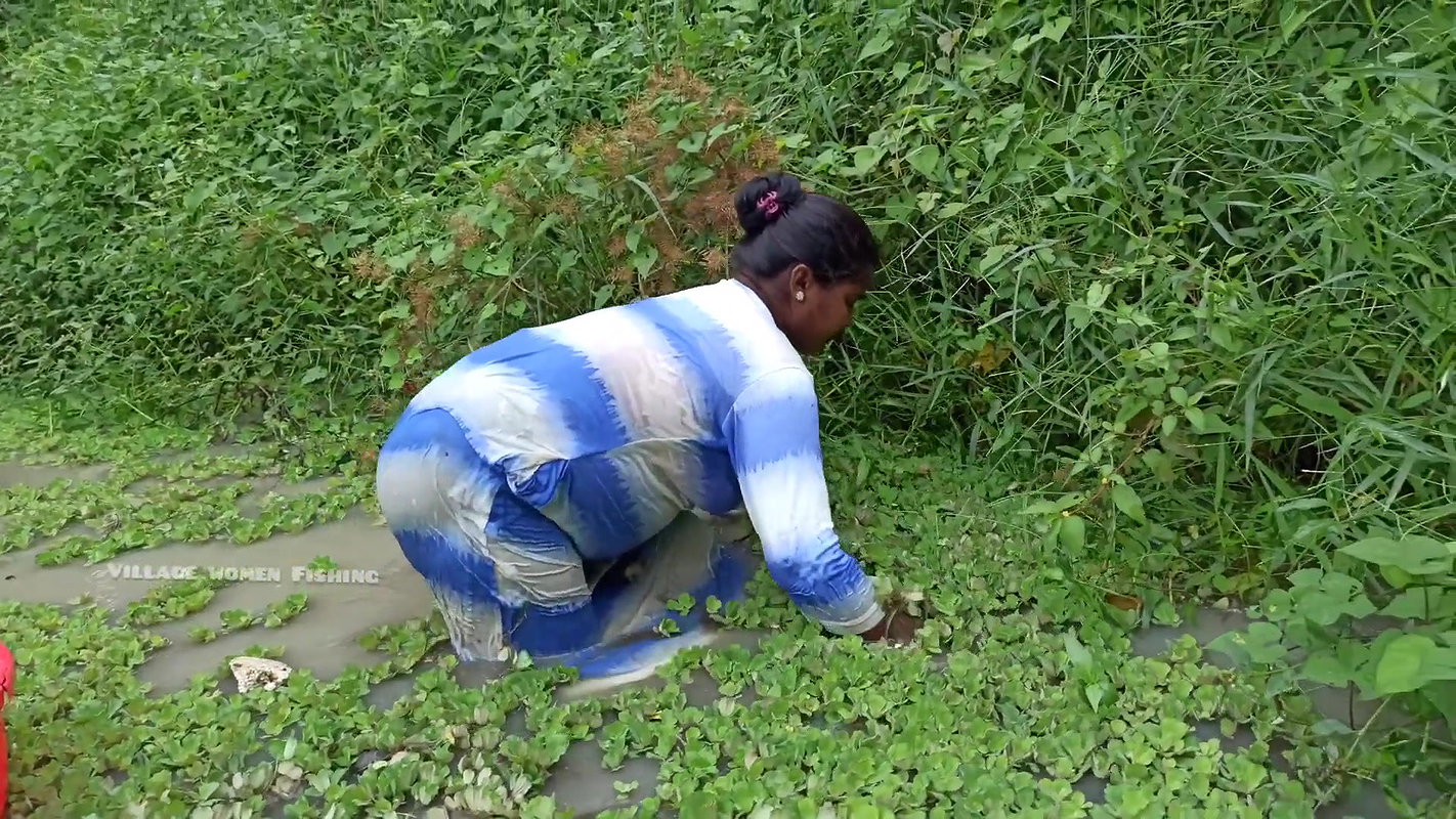 Amazing Village Women Hand Fishing in Village Pond