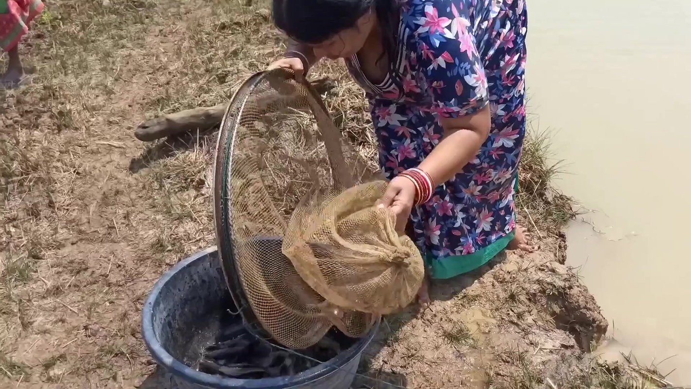 Amazing Village Women hand fishing   Simple catfis