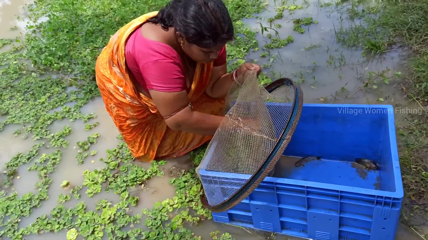 Amazing Village women Hand fishing   Unique fishin