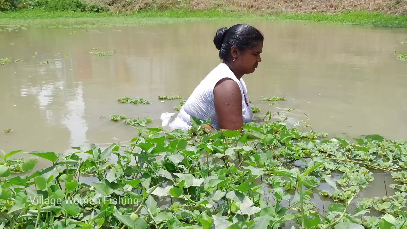 Amazing Village women Hand fishing   Village women