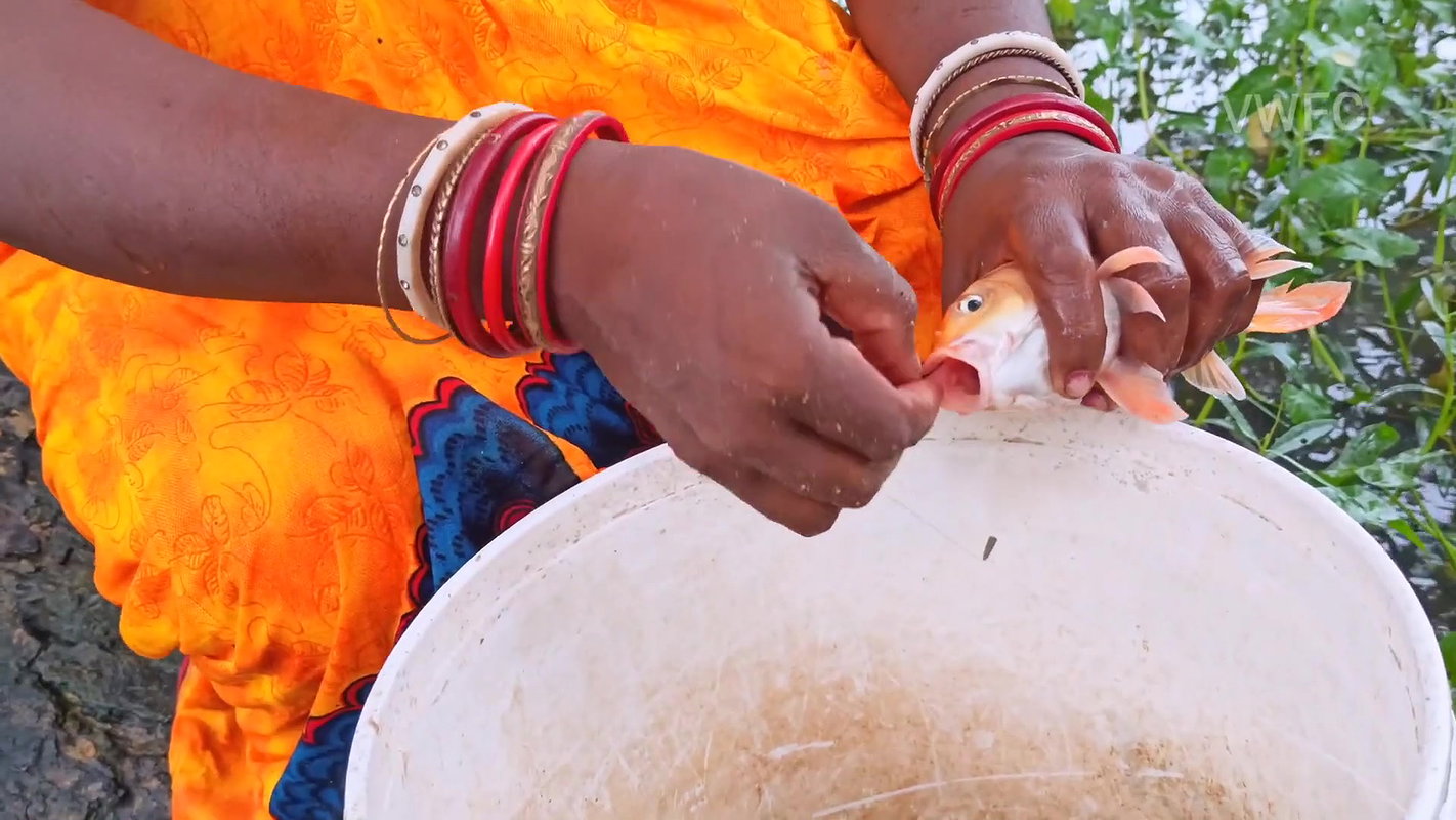 Amazing Village women Hook fishing in Rain   Villa