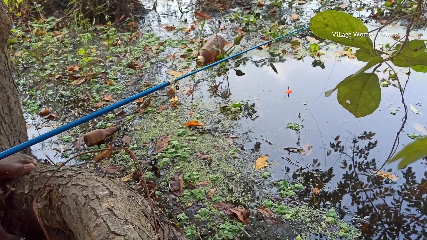 Amazing Village Women hook fishing    Very Big Fis