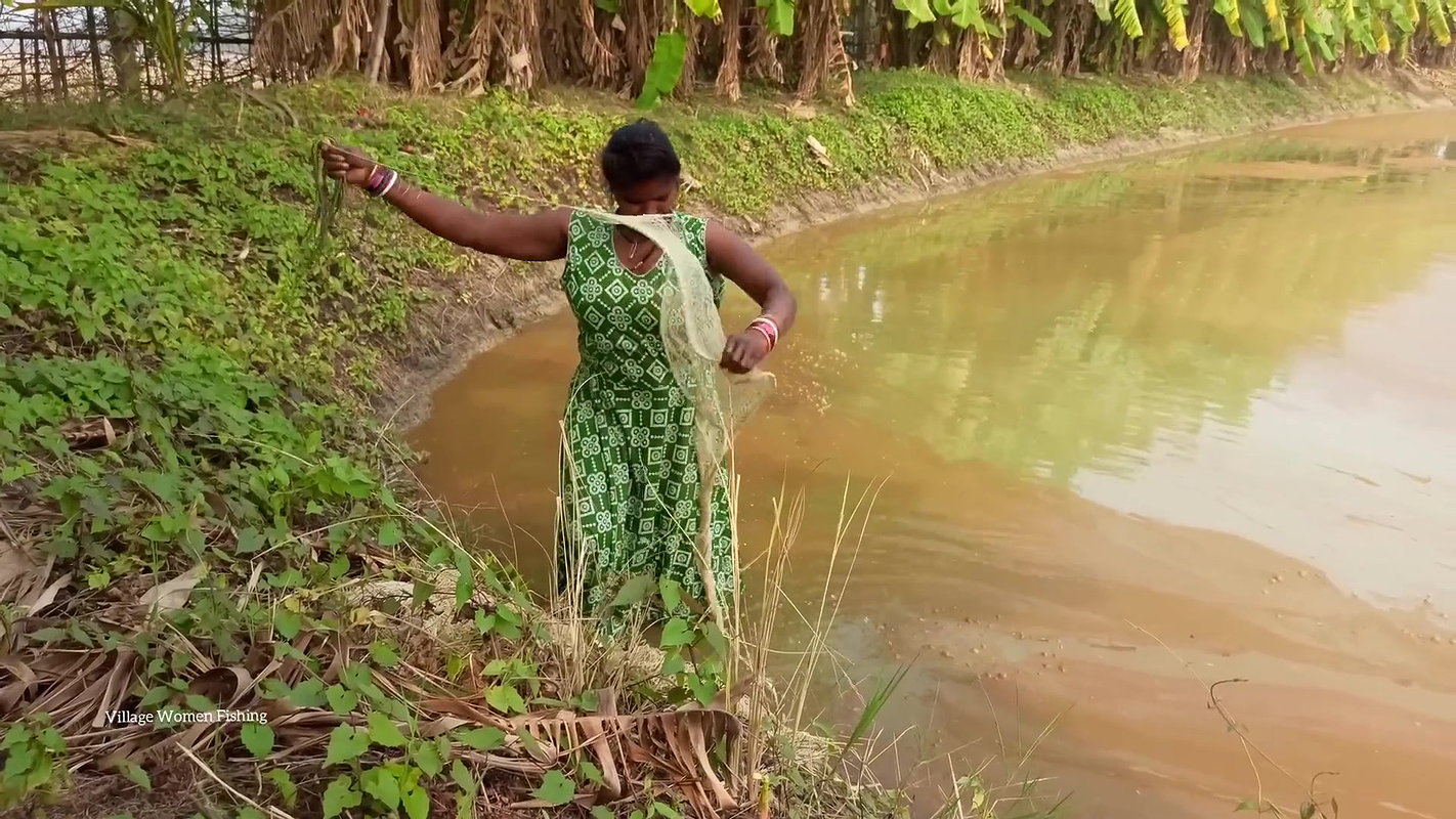 Amazing Village Women Hunting Carp fish with cast
