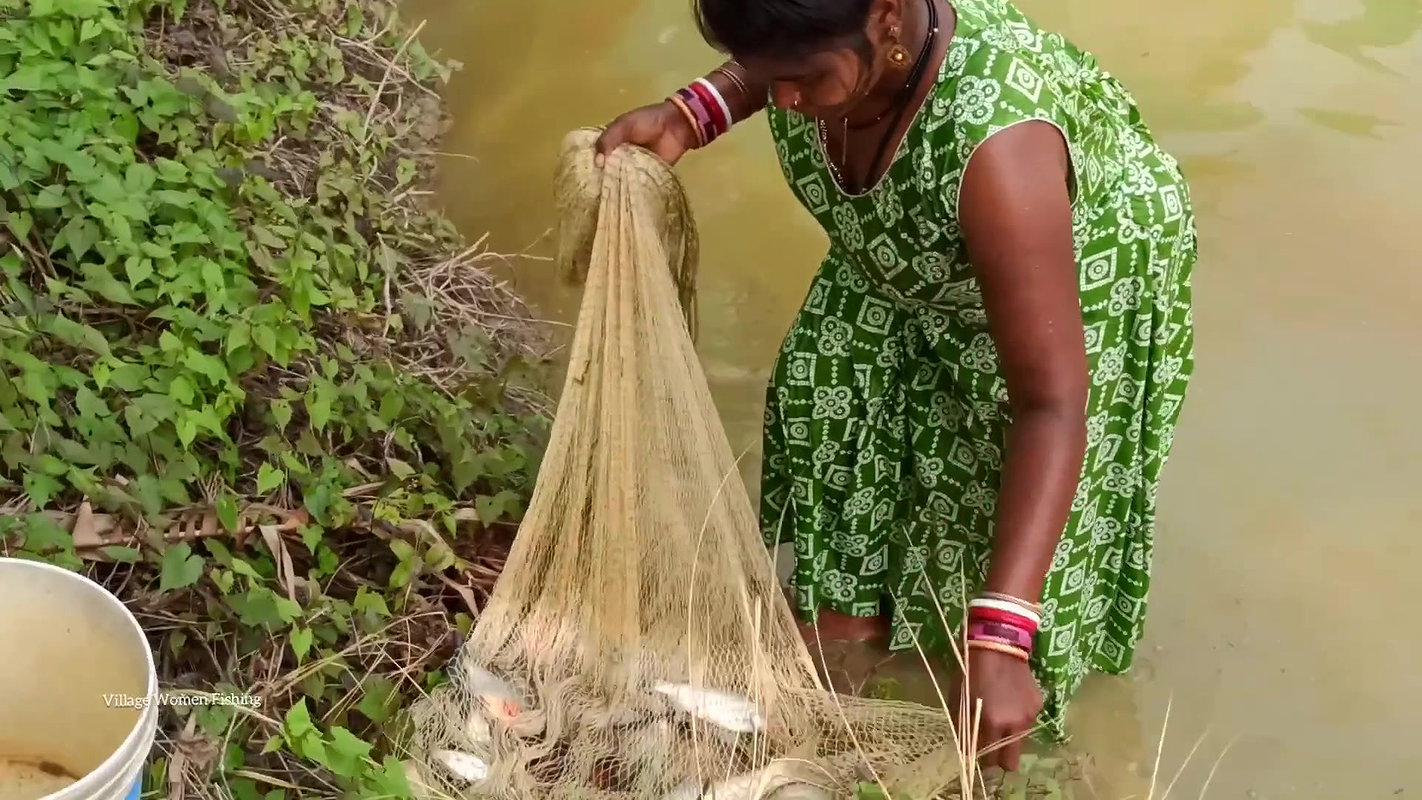 Amazing Village Women Hunting Carp fish with cast