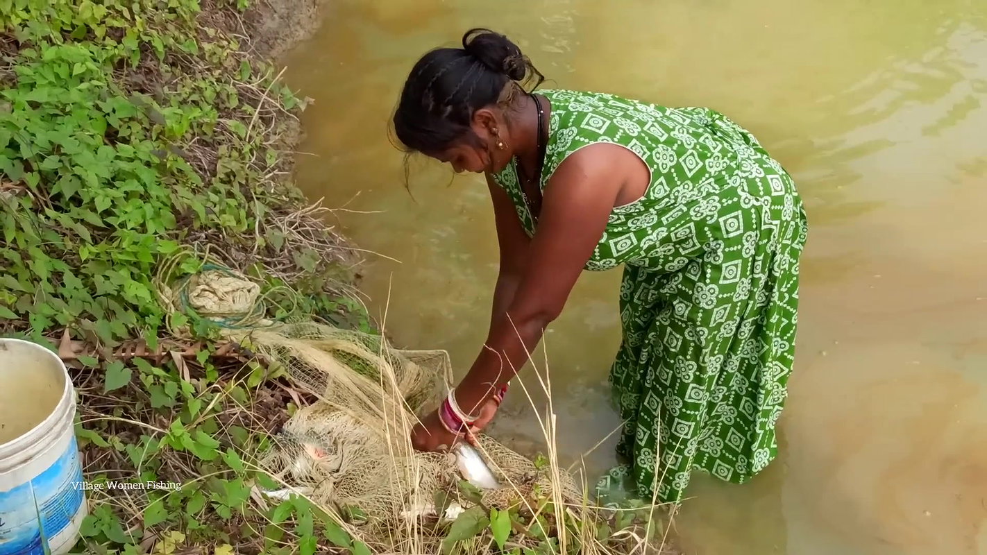 Amazing Village Women Hunting Carp fish with cast