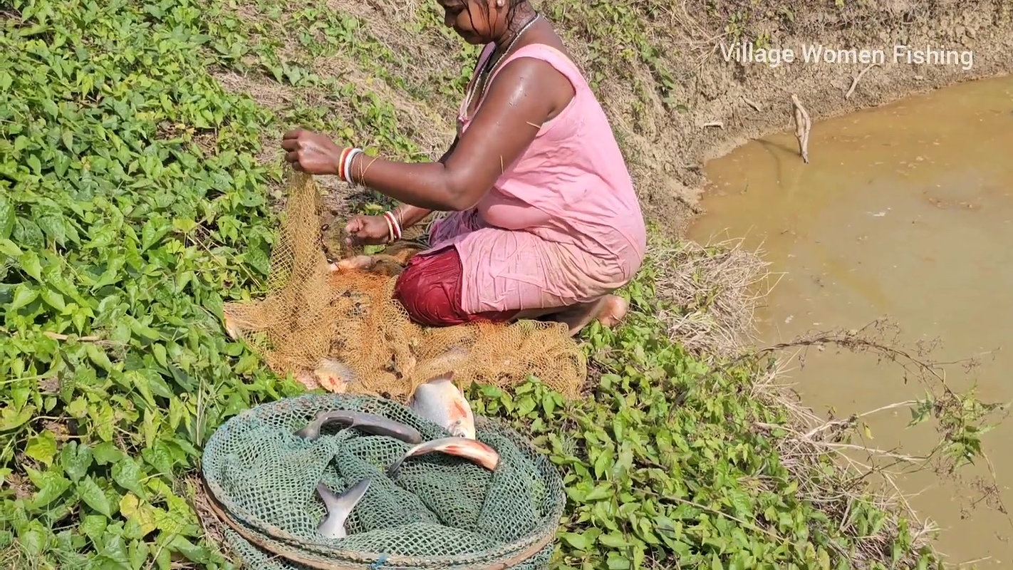 Amazing Village Women incredible Fishing video