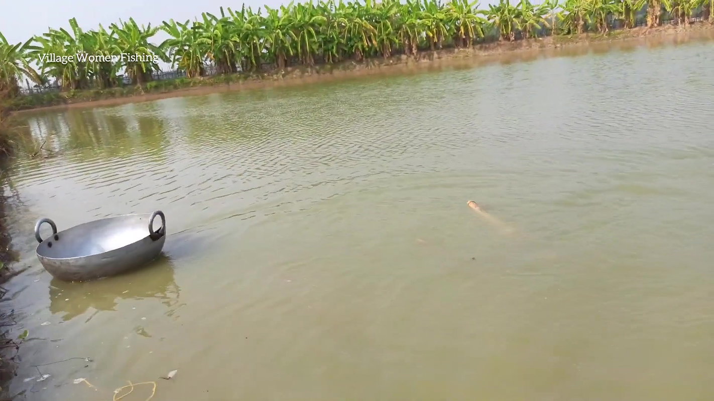 Amazing Village Women Incredible Fishing   Daring