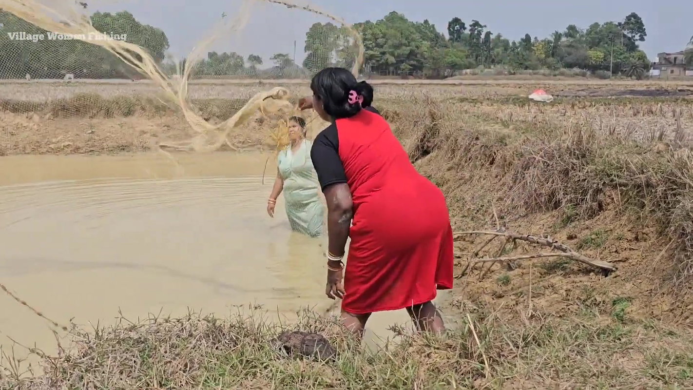 Amazing Village Women incredible Net fishing Video