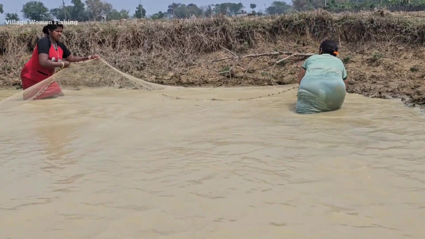 Amazing Village Women incredible Net fishing Video