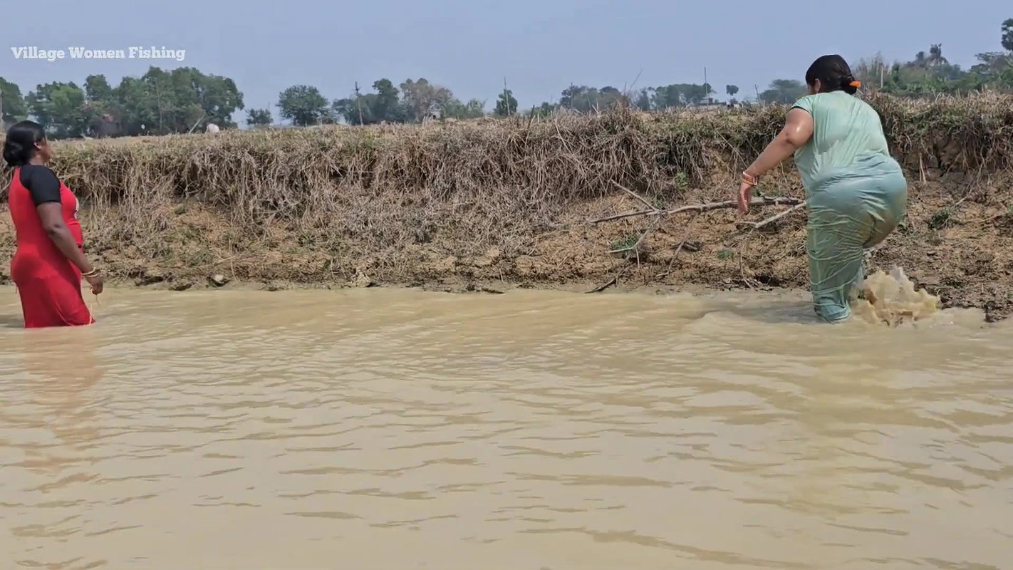 Amazing Village Women incredible Net fishing Video