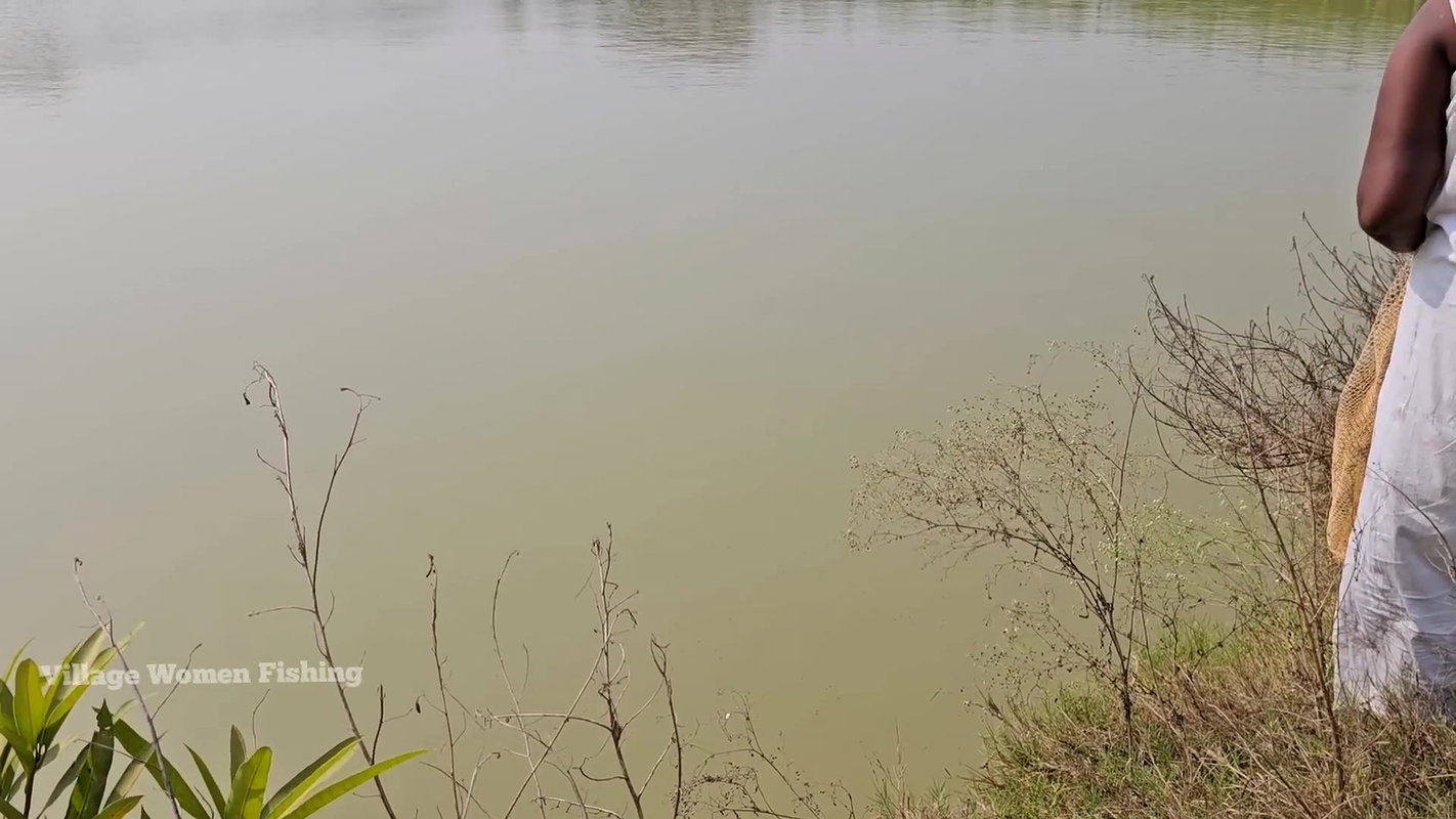 Amazing Village Women Mouni net fishing in Village