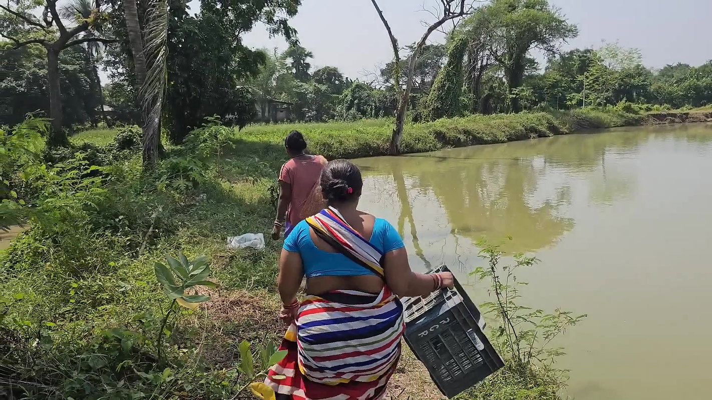 Amazing Village Women mud Water Fishing video    গ