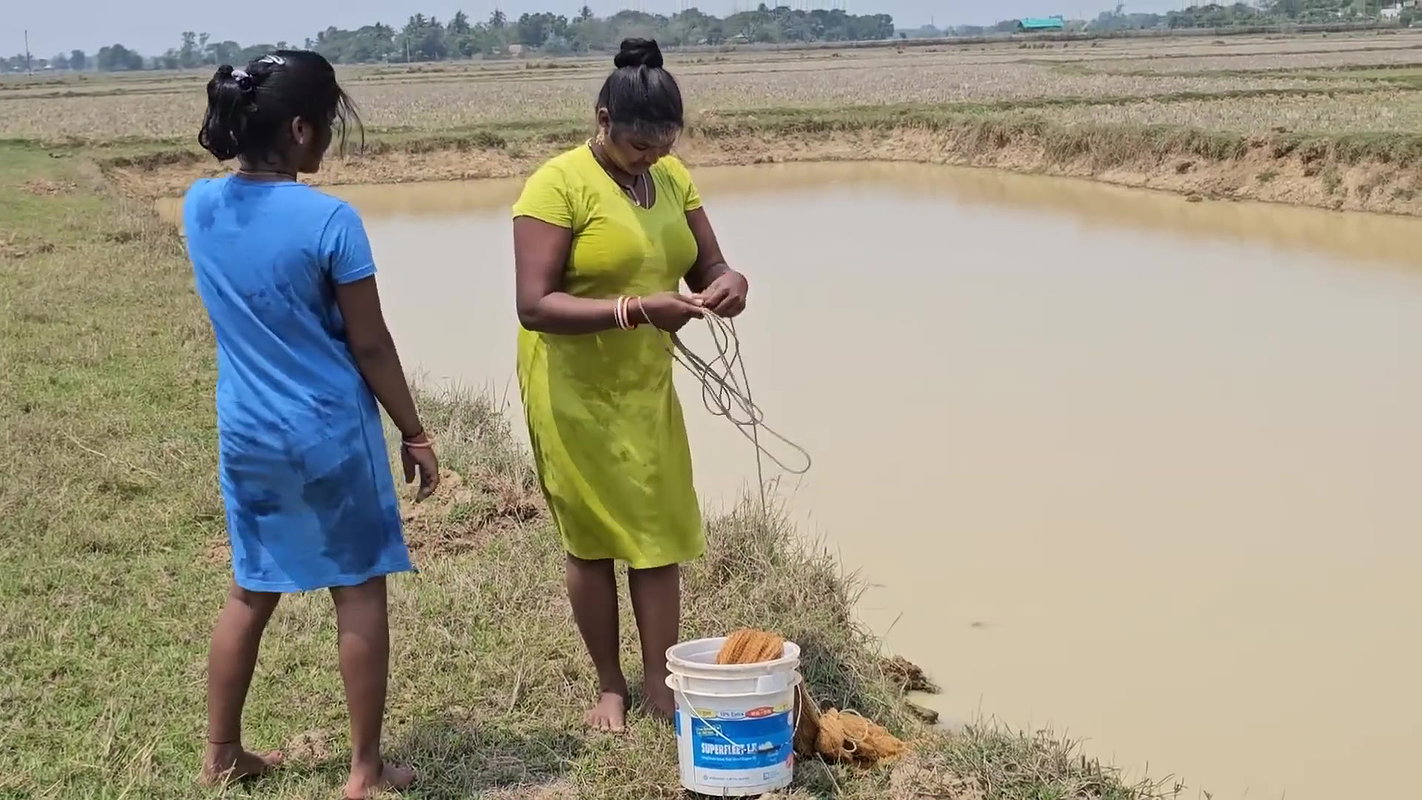 Amazing Village Women Net Fishing in Muddy Water