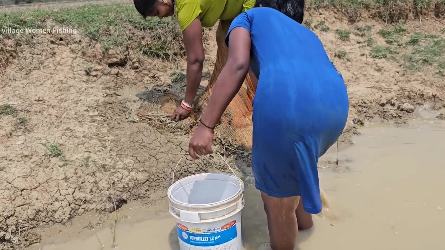 Amazing Village Women Net Fishing in Muddy Water