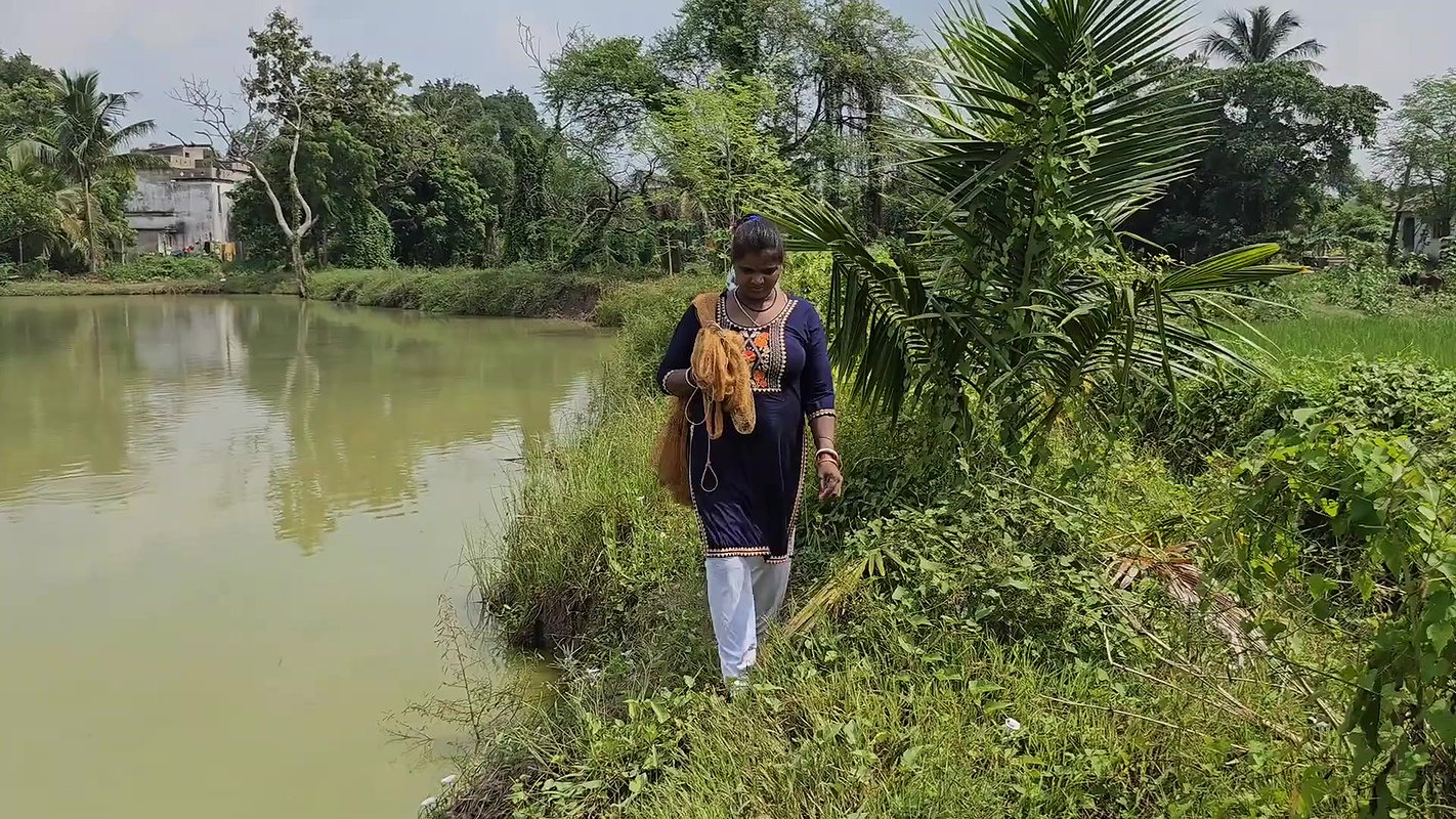 Amazing Village Women Net Fishing in Village fish
