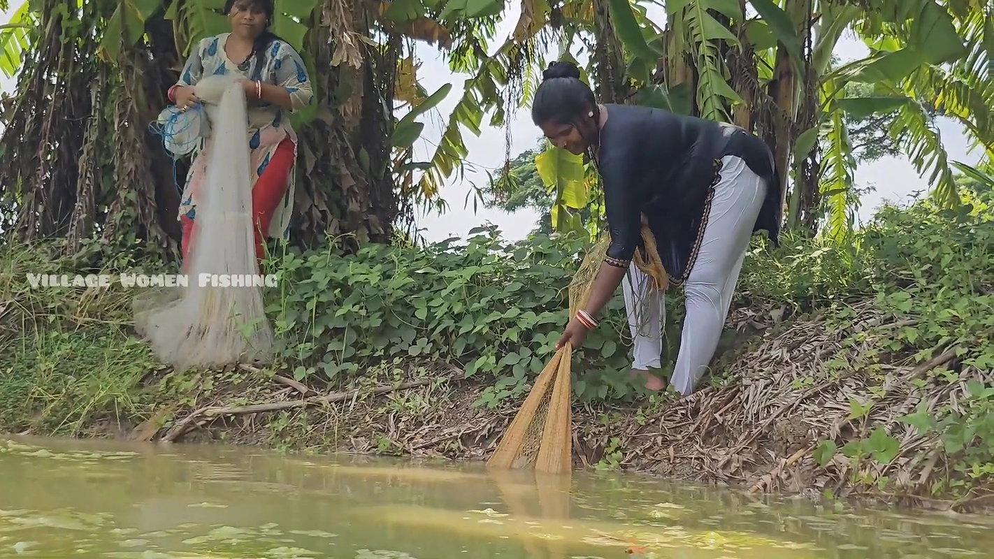 Amazing Village Women Net Fishing in Village fish