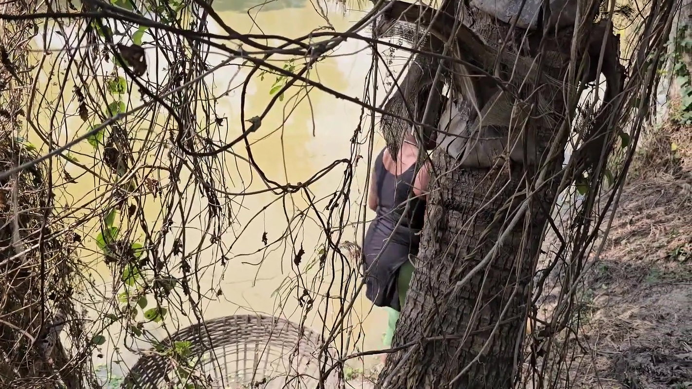 Amazing Village Women Net Fishing in Village pond