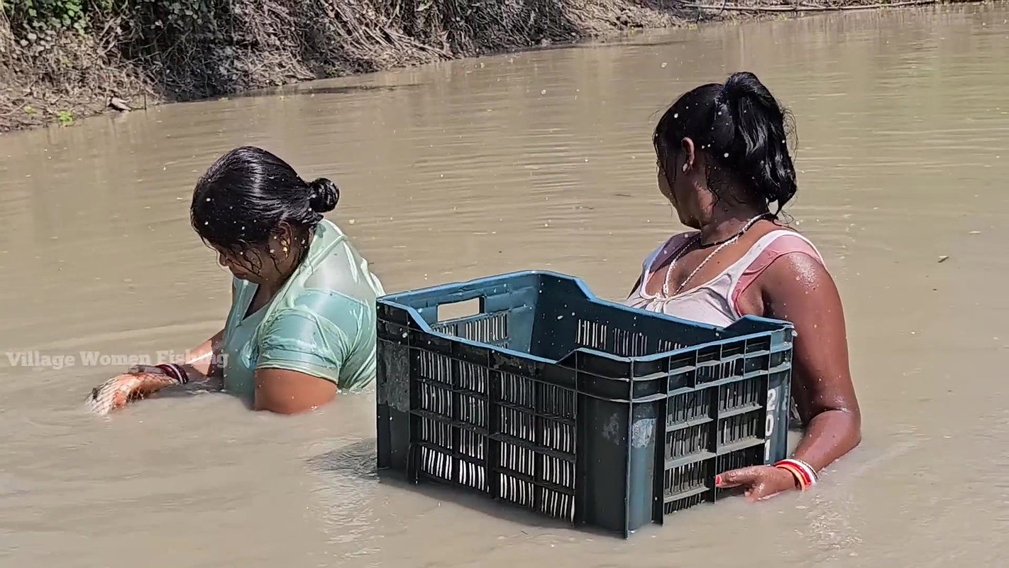 Amazing Village Women Net Fishing Video in Mud Wat