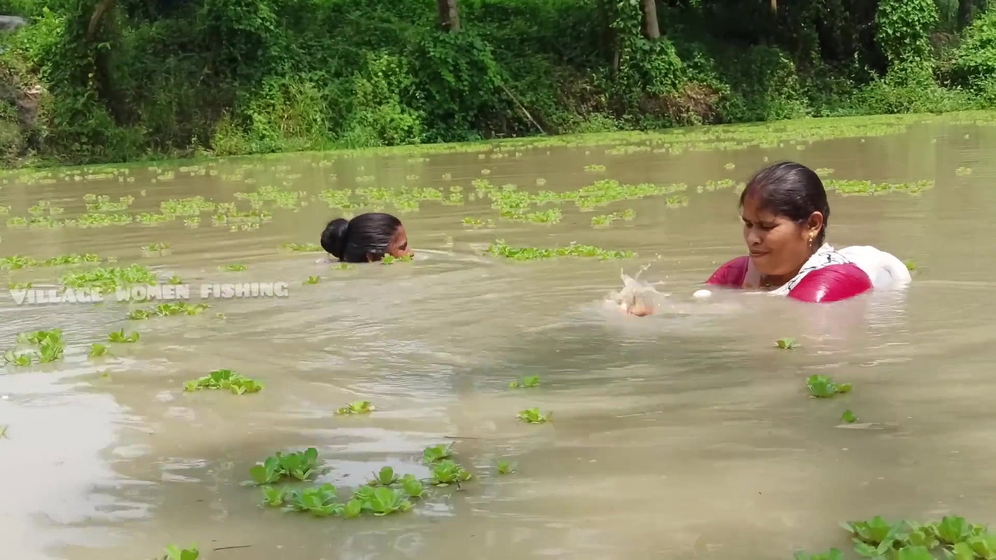 Amazing Village Women Net Fishing Video in Village