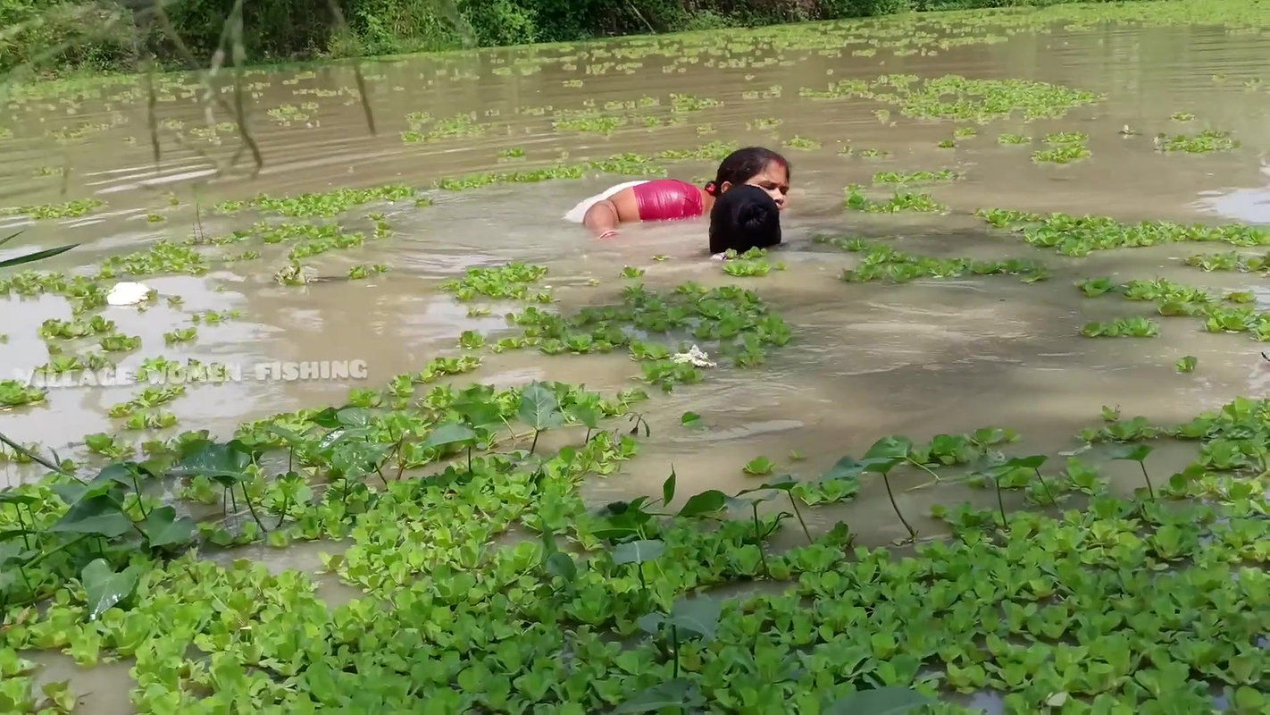 Amazing Village Women Net Fishing Video in Village