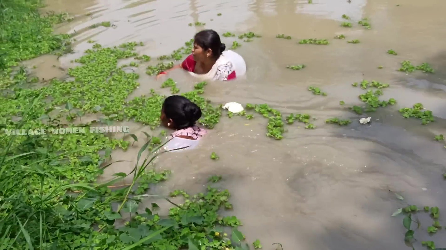 Amazing Village Women Net Fishing Video in Village