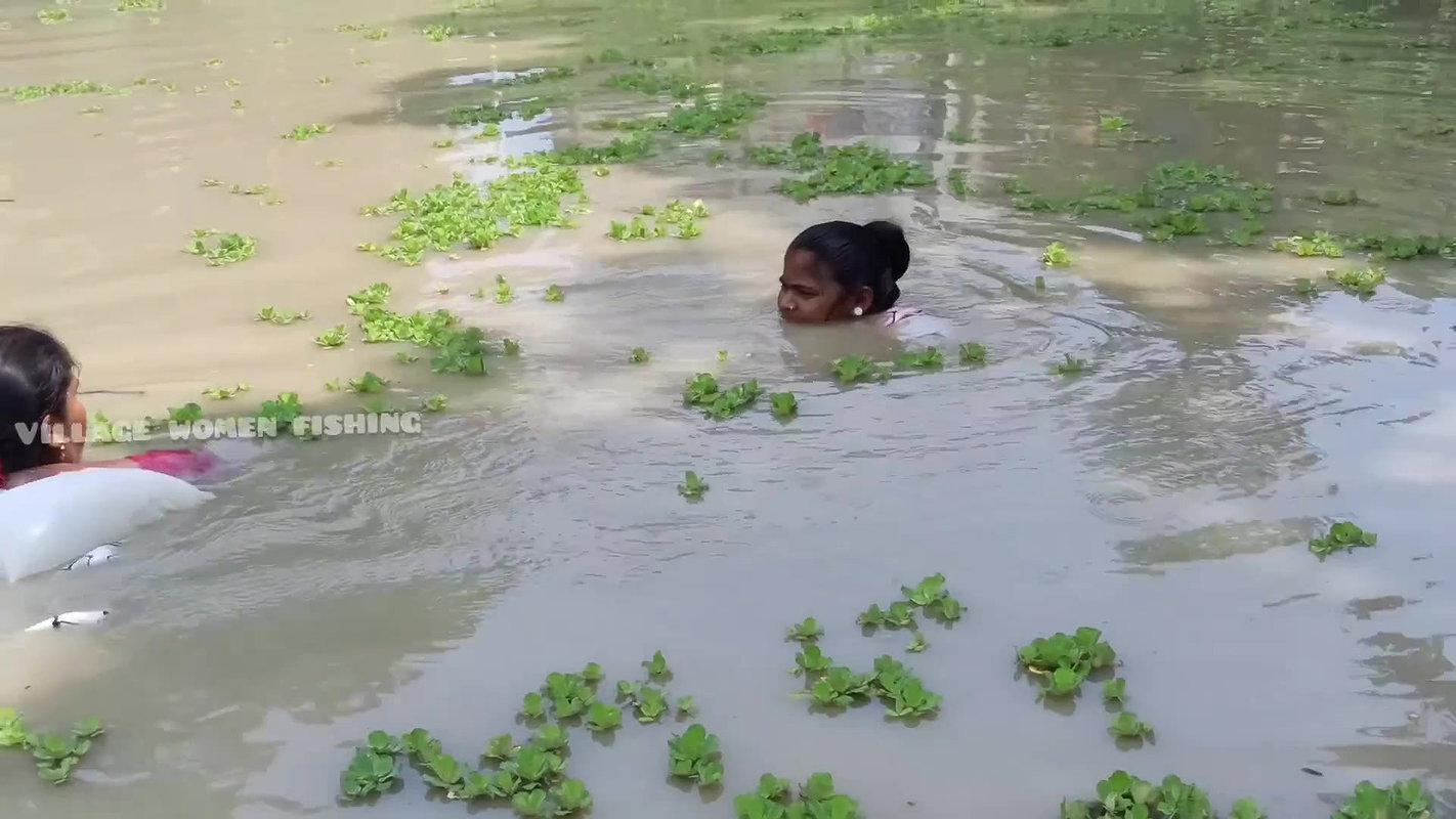 Amazing Village Women Net Fishing Video in Village