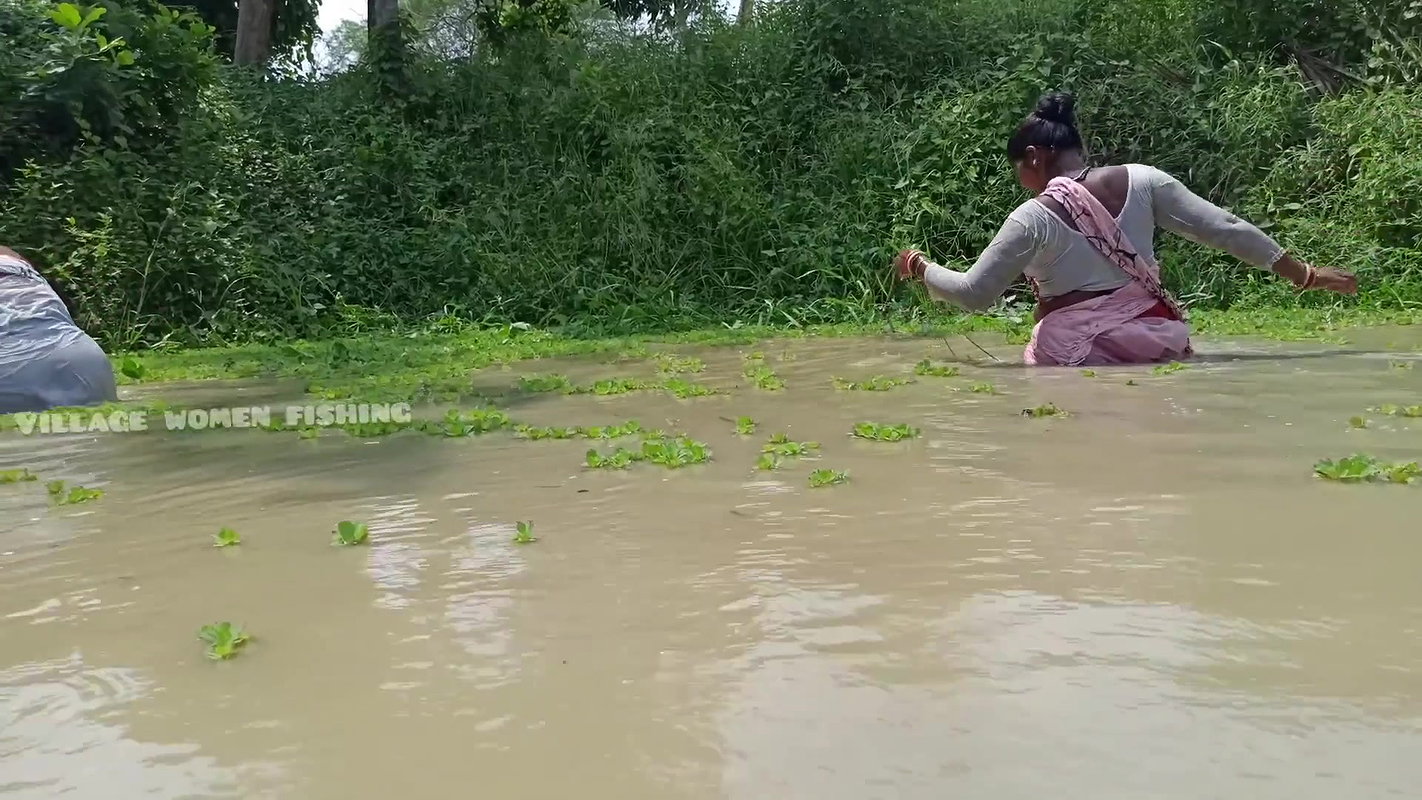 Amazing Village Women Net Fishing Video in Village