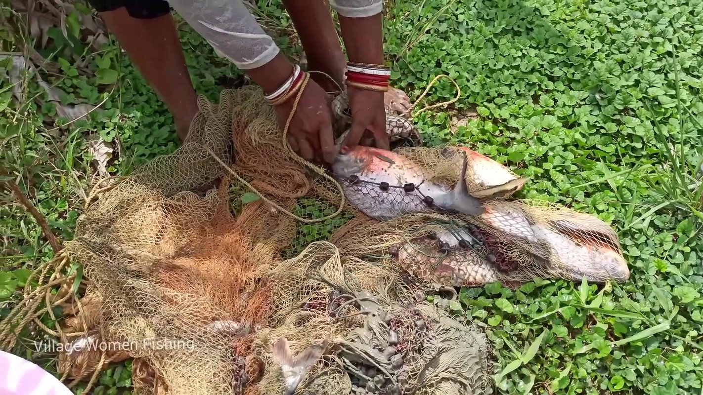 Amazing village women net fishing video   Mouni fi