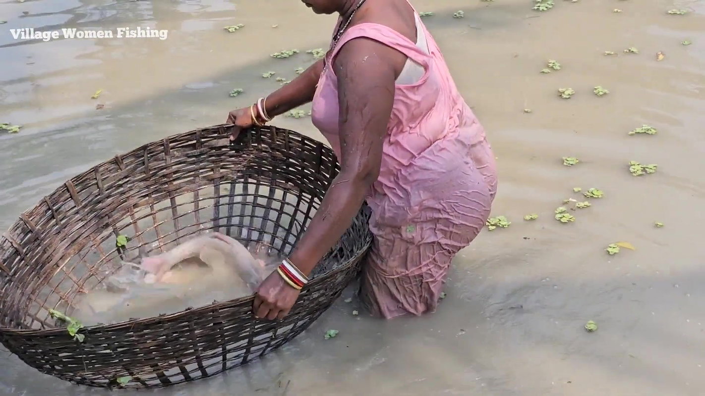 Amazing Village Women Net Fishing Video    Mouni F