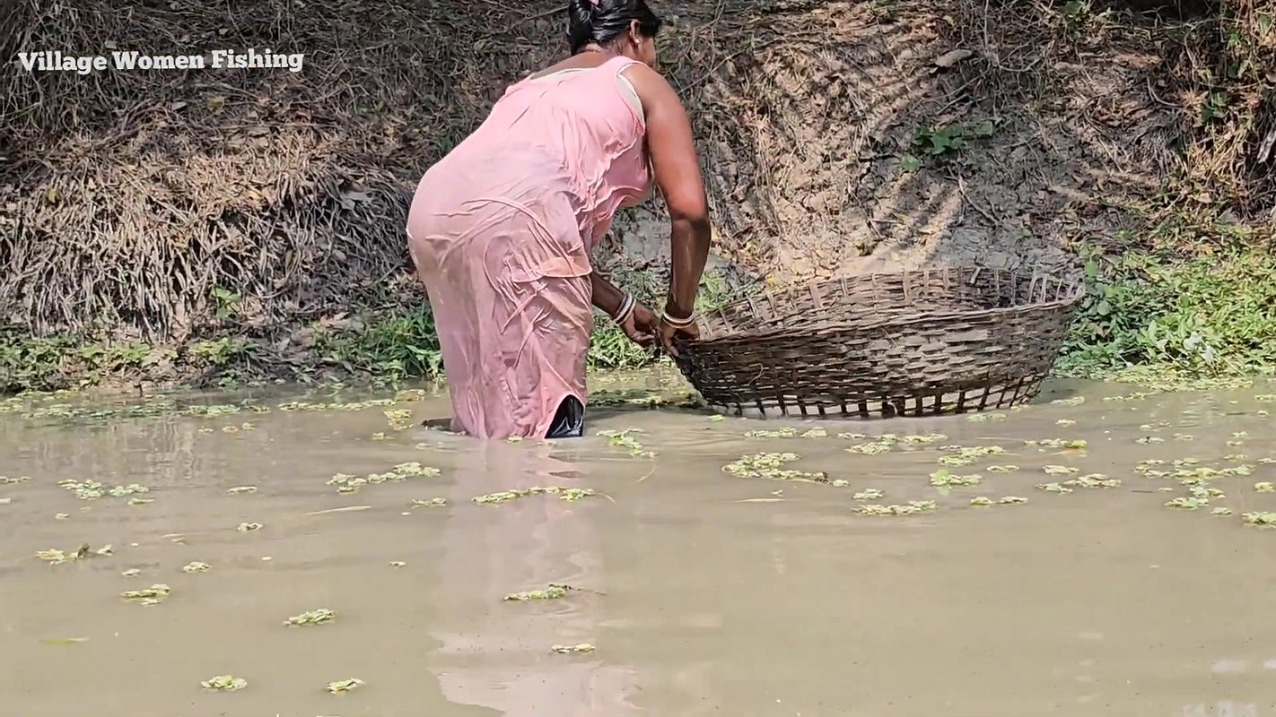 Amazing Village Women Net Fishing Video    Mouni F